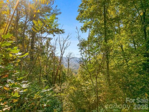 35-TBD Laurel Heights, Marshall, NC, 28753 | Card Image