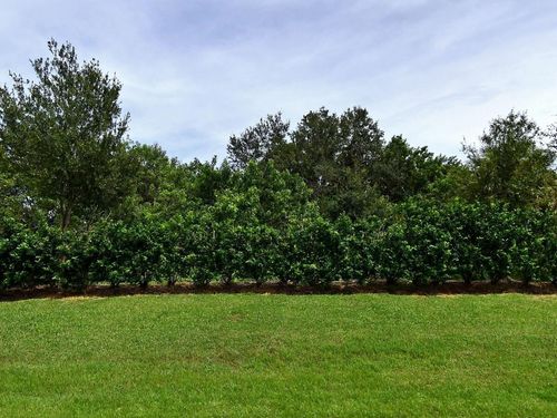 4341 Winding Pl, Fort Pierce, FL, 34981-5058 | Card Image