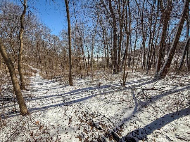 S10284 Dead End Rd, Home with 4 bedrooms, 3 bathrooms and null parking in PLAIN WI | Image 71