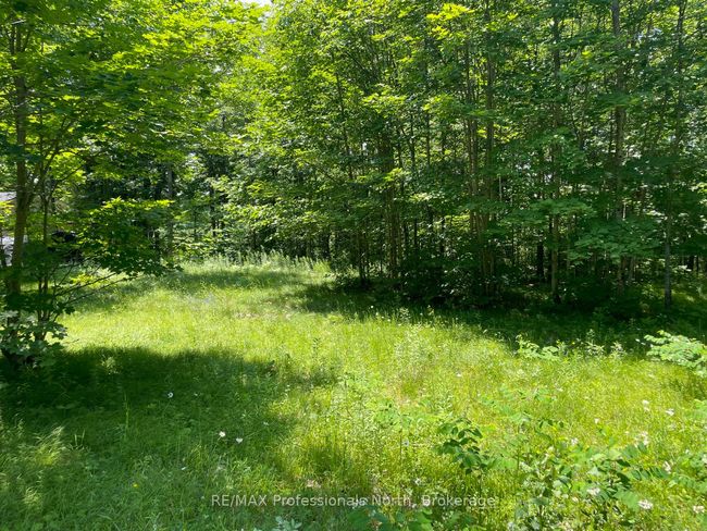 0 Glamor Lake Rd, Home with 0 bedrooms, 0 bathrooms and null parking in Gooderham ON | Image 12
