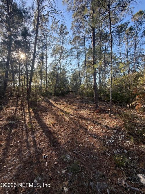 210 Morningside Dr, Florahome, FL, 32140 | Card Image