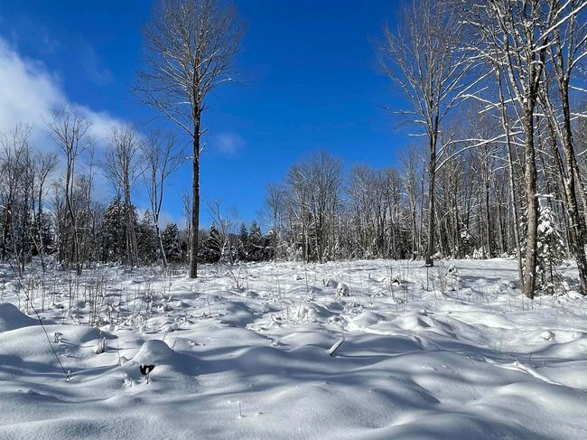 2209 Underpass Rd, Home with 0 bedrooms, 0 bathrooms and null parking in Sutton VT | Image 16
