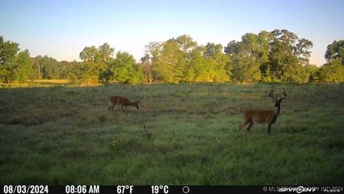  Hwy 109a, Lane, OK, 74555 | Card Image