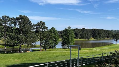 11786 County Road 4401, Larue, TX, 75770-6102 | Card Image