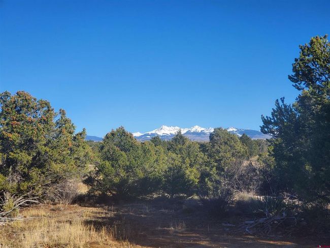 13989 Road 35.6, Home with 0 bedrooms, 0 bathrooms and null parking in Mancos CO | Image 27