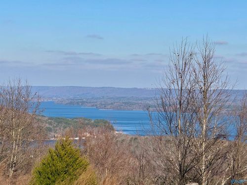 302 Mccorkle Mountain Rd, Scottsboro, AL, 35769 | Card Image