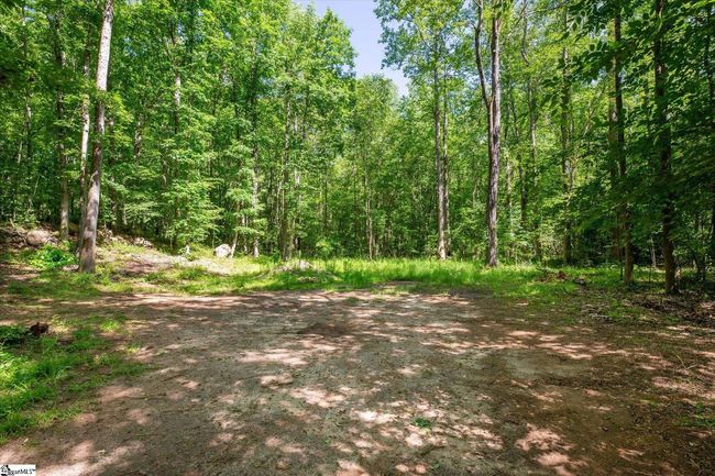 637 Odell Rd, Home with 0 bedrooms, 0 bathrooms and null parking in Liberty SC | Image 8