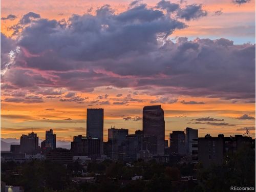 503-909 N Lafayette St, Denver, CO, 80218-3159 | Card Image