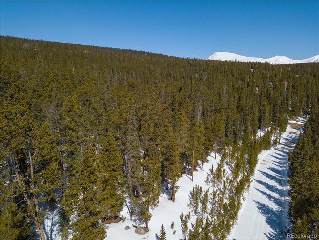 676 Dry Gulch Rd, Home with 0 bedrooms, 0 bathrooms and null parking in Fairplay CO | Image 32