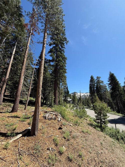 529 E Meadows Dr, Kirkwood, CA, 95646 | Card Image