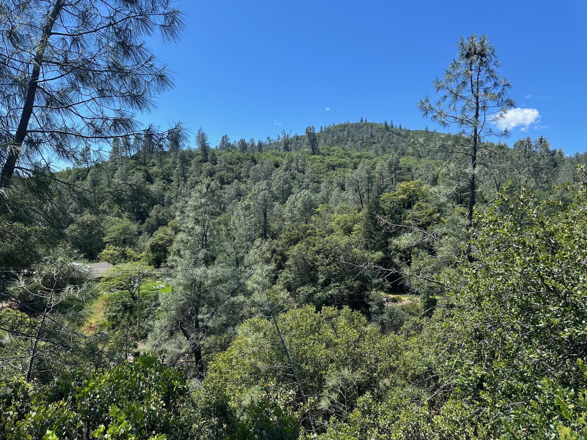 Land in Shasta Lake