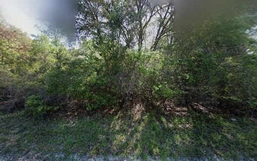 Tbd Ne 799th St, Old Town, FL, 32680 | Card Image