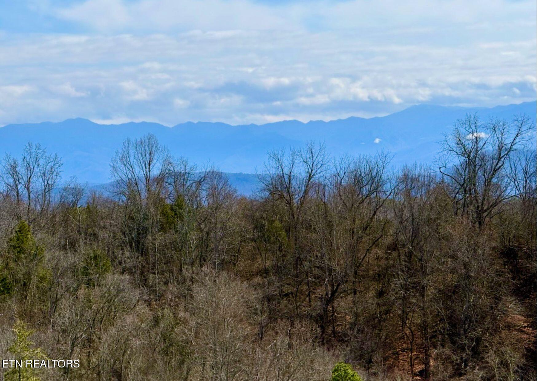 Residential in Sevierville 3