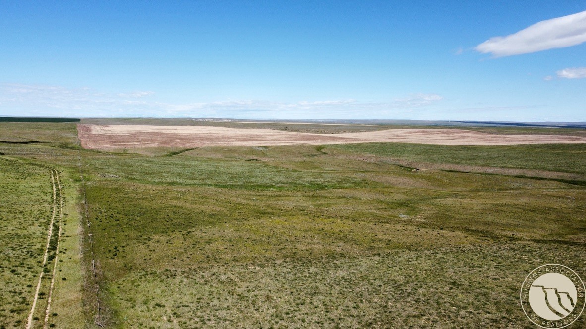 Land in Molt 3