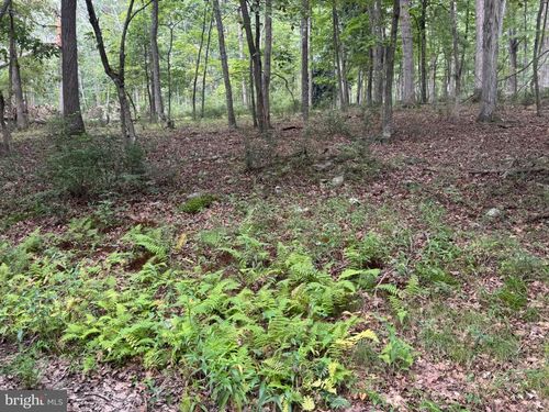 Lot 9 Paradise Road Paradise Road, WARDENSVILLE, WV, 26851 | Card Image