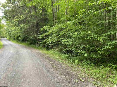 Lot 25 Old Black Bear Trail Drive, Home with 0 bedrooms, 0 bathrooms and null parking in Davis WV | Image 3