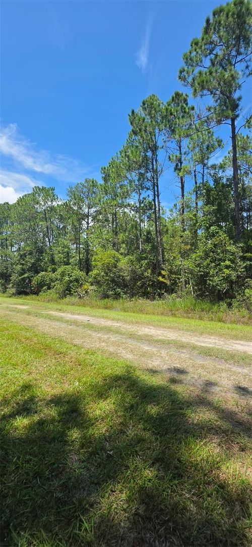 4220 Isaac St, Hastings, FL, 32145-9610 | Card Image
