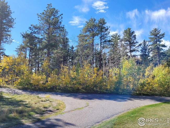 70 Northwoods Dr, Home with 0 bedrooms, 0 bathrooms and null parking in Red Feather Lakes CO | Image 4