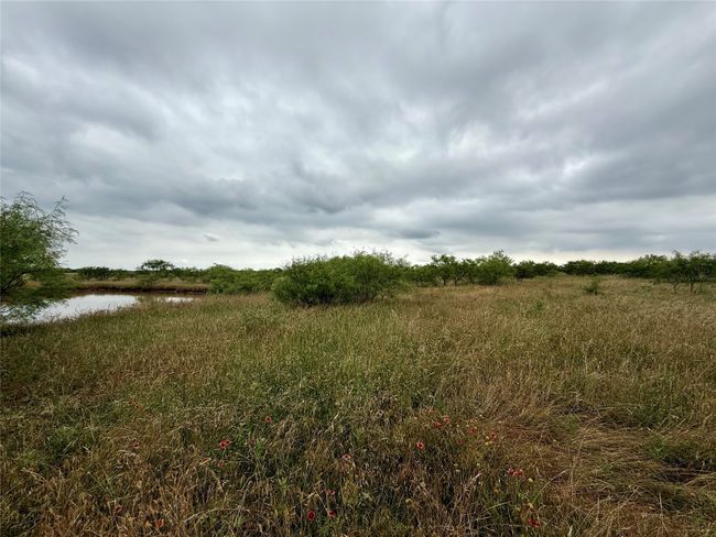 0000 Turtle Hole Rd, Home with 0 bedrooms, 0 bathrooms and null parking in Graham TX | Image 26