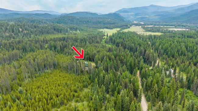 Drone / aerial view of a forest and a mountainous background | Image 5