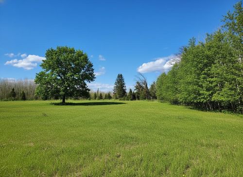 tbd Wildflower Ln Ne, Blackduck, MN, 56630 | Card Image