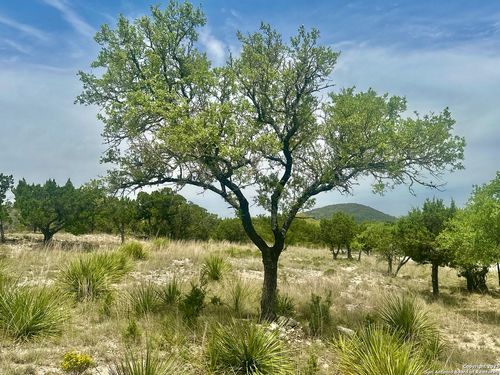 TBD Polly Peak Dr, Bandera, TX, 78003 | Card Image
