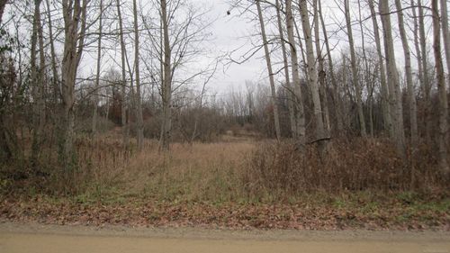 VL 0 Oak Grove, North Branch Township, MI, 48461 | Card Image