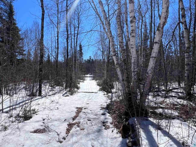 1491 Nipi Ln, Home with 0 bedrooms, 0 bathrooms and null parking in Isabella MN | Image 9