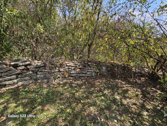 0 Cedar Cir, Home with 0 bedrooms, 0 bathrooms and null parking in Mulberry TN | Image 8