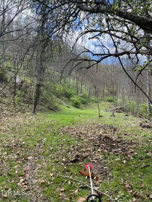 Tbd Crabtree Holw, Clintwood, VA, 24228 | Card Image