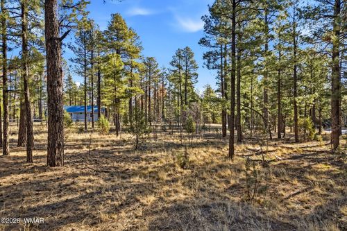 2090 Knotty Pine Cir, Overgaard, AZ, 85933-5223 | Card Image