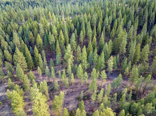 19 Trail Creek Ct, Placerville, ID, 83666 | Card Image