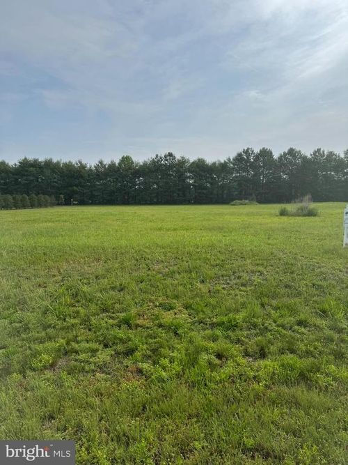 16308 Edgewater Ct, MILTON, DE, 19968-3073 | Card Image
