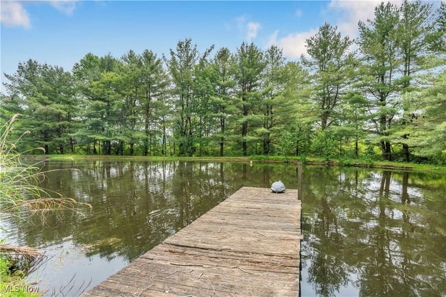 52 Arbor Road Ne, House other with 3 bedrooms, 2 bathrooms and null parking in Minerva OH | Image 43