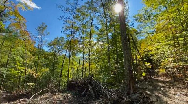 15 Gorge Rd, Home with 0 bedrooms, 0 bathrooms and null parking in Middleburgh NY | Image 9
