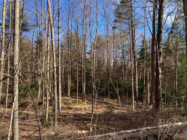 lot 5 Nh Route 4a, Home with 0 bedrooms, 0 bathrooms and null parking in Grafton NH | Image 19