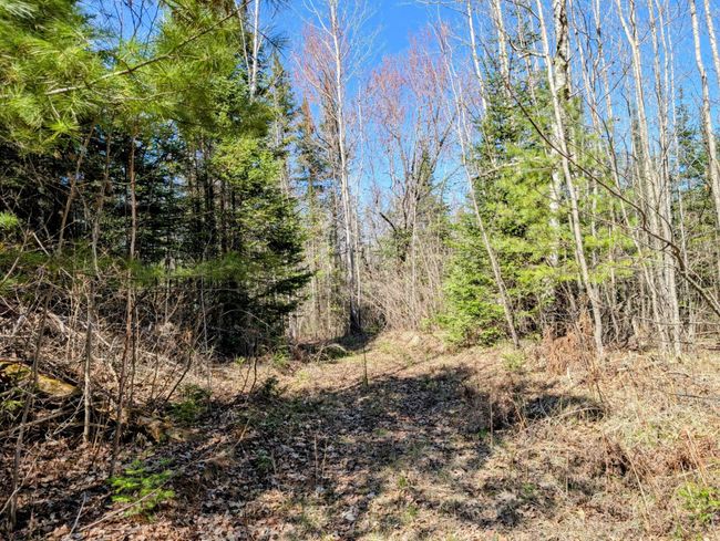 N12912 State Highway 13, House other with 2 bedrooms, 1 bathrooms and null parking in Fifield WI | Image 46
