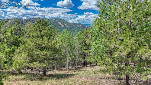 24 Wild Horse Cir, Cripple Creek, CO, 80813 | Card Image