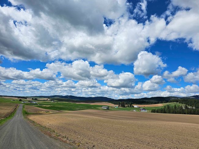 000 E Horton Rd, Home with 0 bedrooms, 0 bathrooms and null parking in Rockford WA | Image 4
