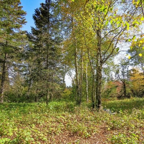 xxx Hoaglund Dr, Tofte, MN, 55615 | Card Image