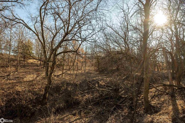 26043 Nuthatch Ave, Home with 0 bedrooms, 0 bathrooms and null parking in Bloomfield IA | Image 46