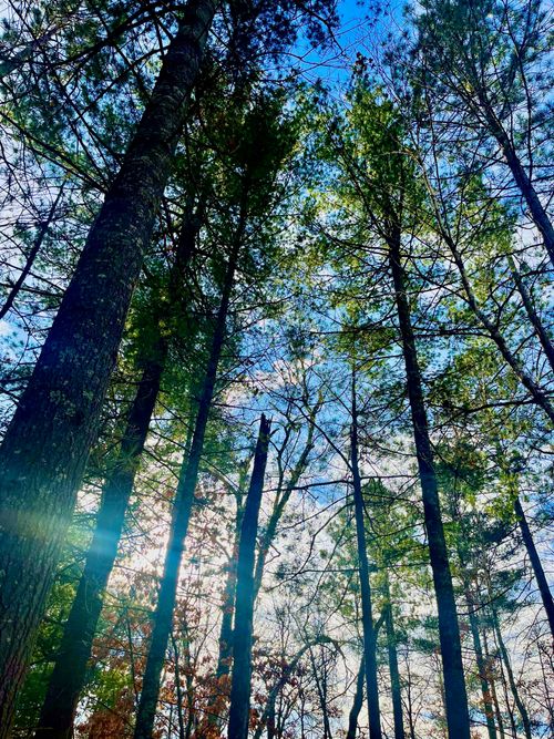 37336 Teal Dr, Sturgeon Lake, MN, 55783 | Card Image