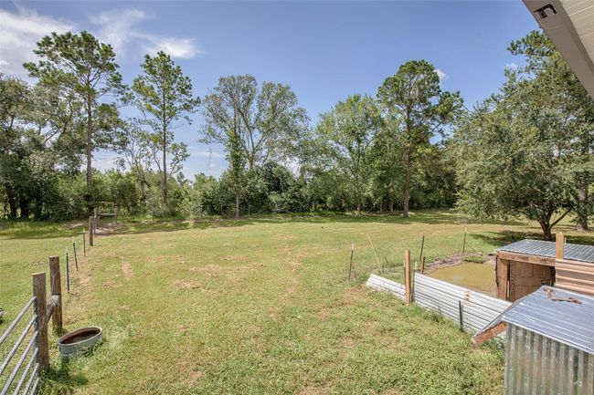 Backyard view from patio | Image 21