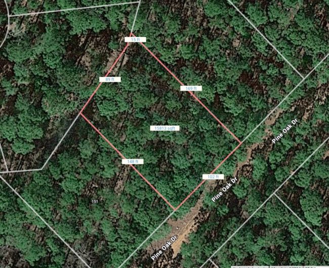 000 Pine Hollow Dr, Home with 0 bedrooms, 0 bathrooms and null parking in Bastrop TX | Image 10