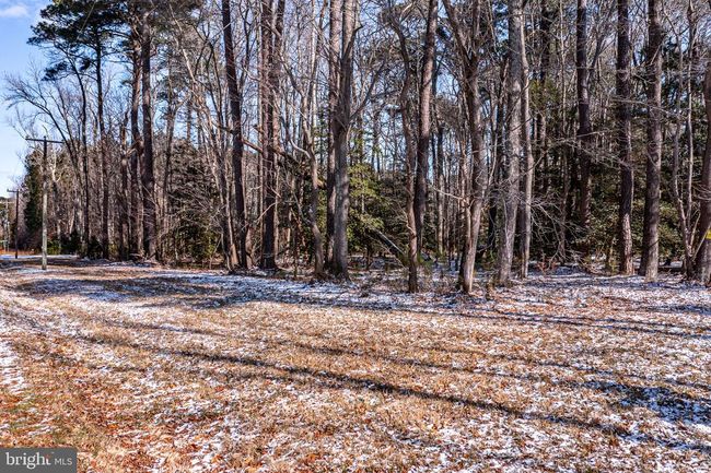 0 Georges Cove Dr, Home with 0 bedrooms, 0 bathrooms and null parking in White Stone VA | Image 5
