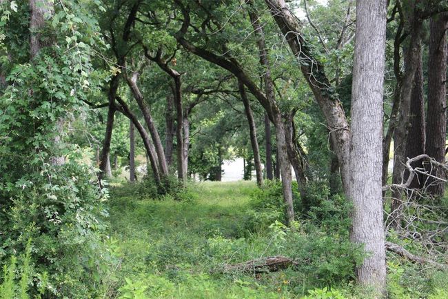 153 Private Road 1311, Home with 0 bedrooms, 0 bathrooms and null parking in Centerville TX | Image 14