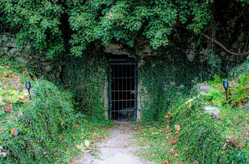 1770 Marion County 5026, Valley Springs, AR, 72682-7605 | Card Image