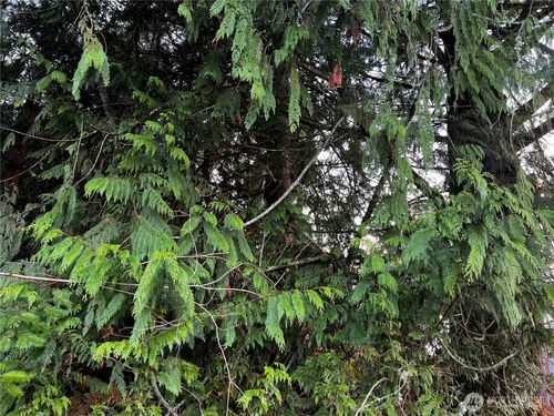 0 Twin Cedars Dr, Clinton, WA, 98236 | Card Image