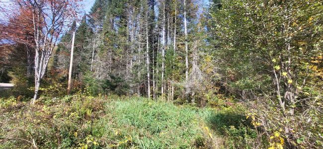 0 Thomas West Road, Home with 0 bedrooms, 0 bathrooms and null parking in Lunenburg VT | Image 4