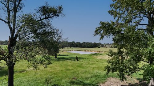 Tract 2 Vz Cr 4408, Ben Wheeler, TX, 75754 | Card Image